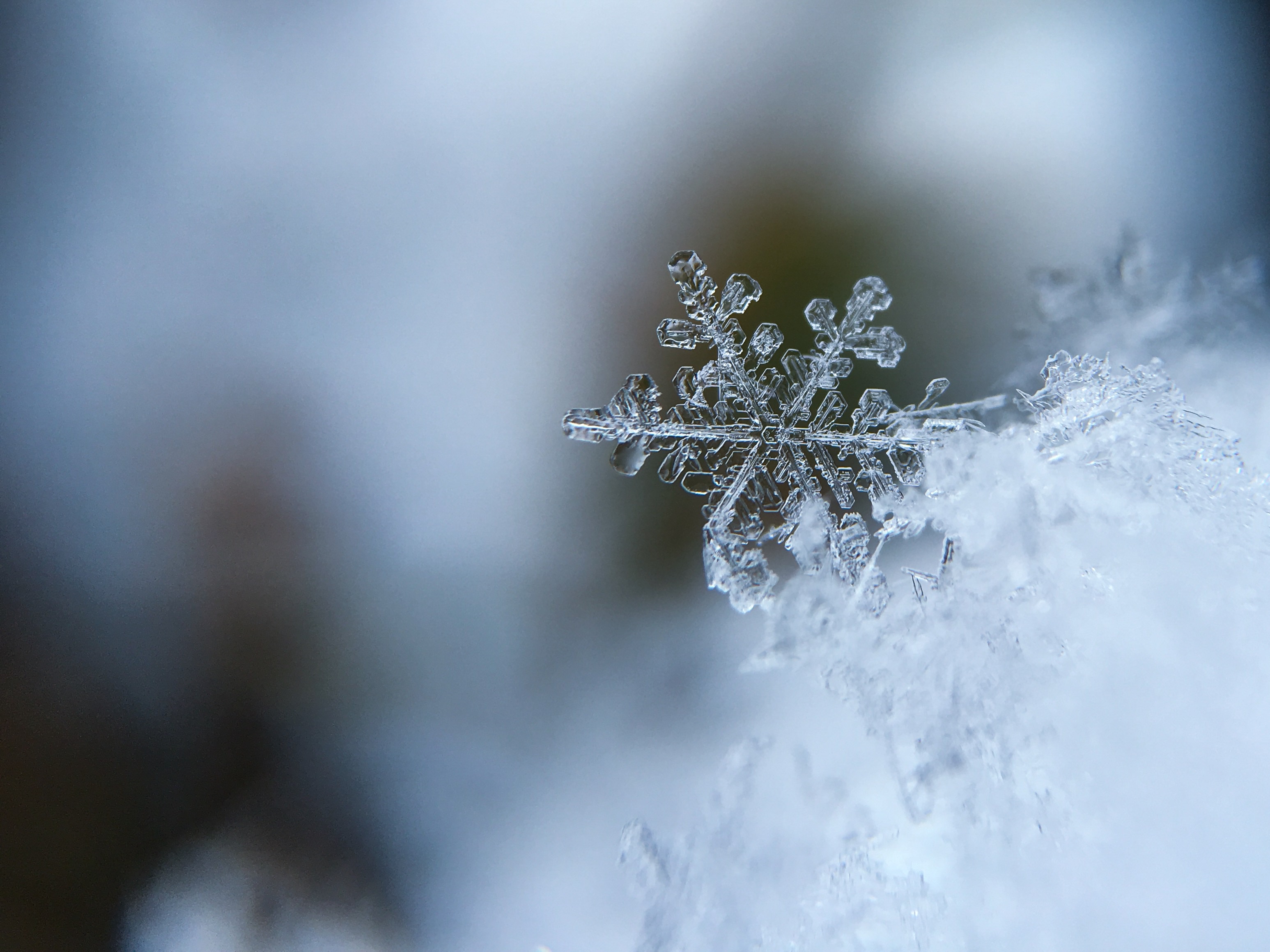 Connecting to Snowflake with Ruby on Rails